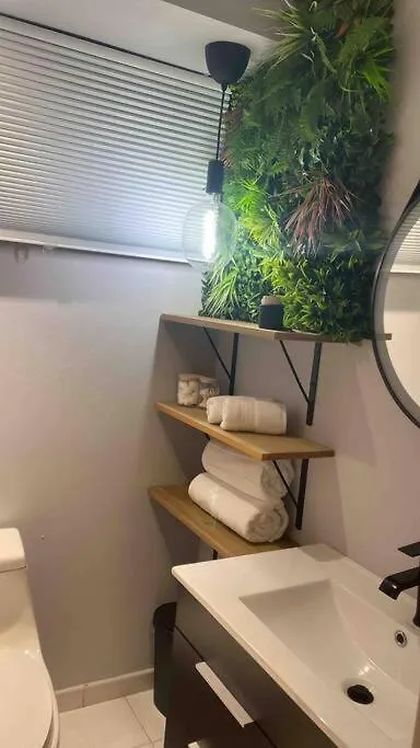Condado Beach Organic Jewel King Size San Juan Apartment