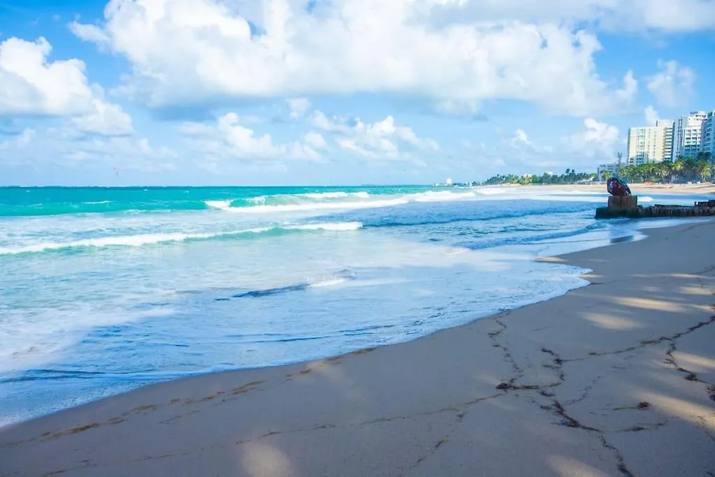Condado Beach Organic Jewel King Size San Juan Puerto Rico
