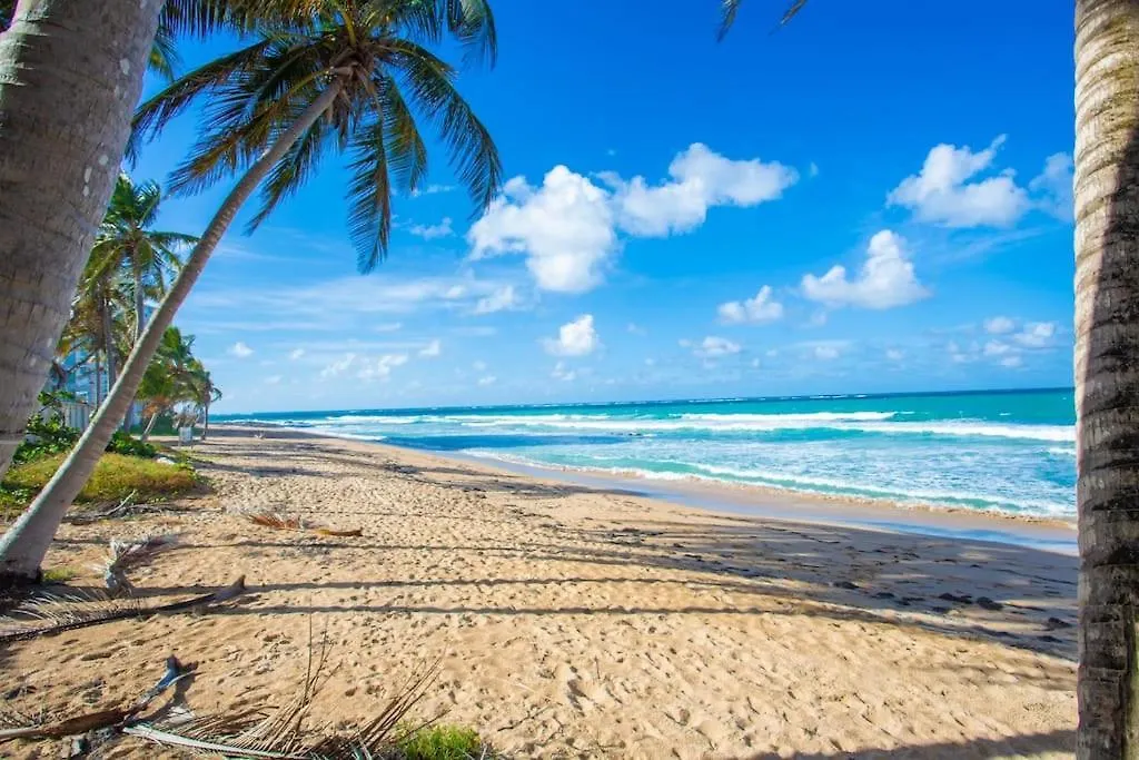 Condado Beach Organic Jewel King Size San Juan 0*,  Puerto Rico