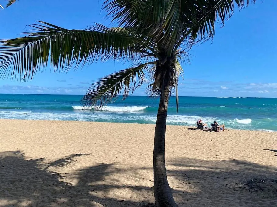 Condado Beach Organic Jewel King Size San Juan Apartment