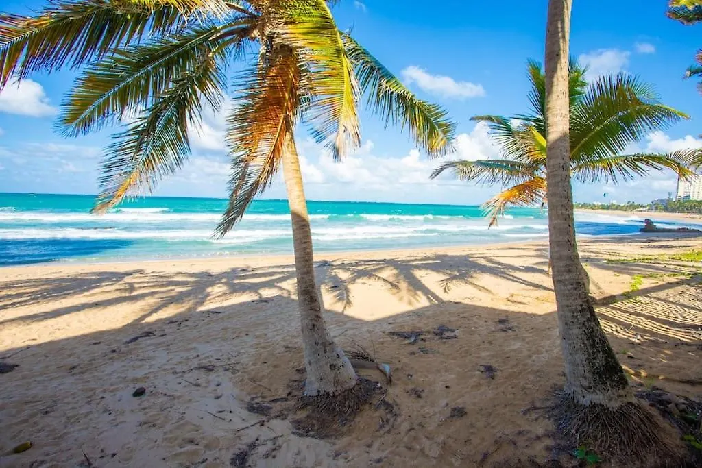 Condado Beach Organic Jewel King Size San Juan